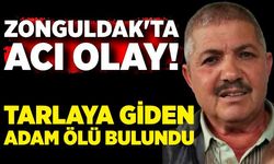 Zonguldak'ta acı olay! Tarlaya giden adam ölü bulundu