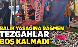 Zonguldak’ta balık yasağına rağmen tezgahlar boş kalmadı