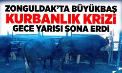 Zonguldak’ta büyükbaş kurbanlık krizi gece yarısı sona erdi