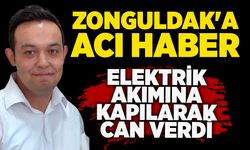 Zonguldak'a acı haber: Elektrik akımına kapılarak can verdi