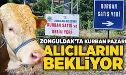 Zonguldak’ta Kurban Pazarı kuruldu: Alıcılarını bekliyor