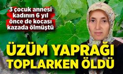 Üzüm yaprağı toplarken düşen kadın hayatını kaybetti