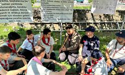 Öğrenciler ÇEDES yıl sonu kültür şenliğinde buluştu