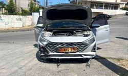 Kopan elektrik telleri otları, otlarda aracı yaktı