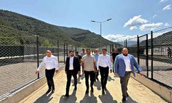 Sokak hayvanları için yapılan modern yaşam merkezi devreye alındı