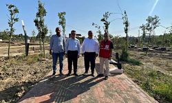 Bartın Milet Bahçesi'ne kavuşuyor: Açılış tarihi belli oldu