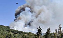 Balıkesir'deki orman yangınI