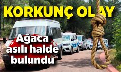 Ağaca asılı halde erkek cesedi bulundu