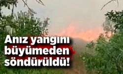 Karabük'te anız yangını büyümeden söndürüldü