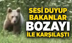 Bartın'da bahçeye gelen bozayı görüntülendi