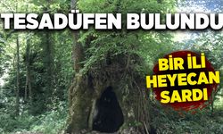Tesadüfen bulundu, bir ili heyecan sardı