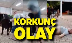 Para atarken boğanın boynuz darbesiyle havaya fırladı