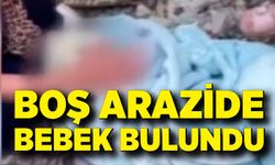 Boş arazide bebek bulundu