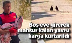 Boş eve girerek mahsur kalan yavru karga kurtarıldı