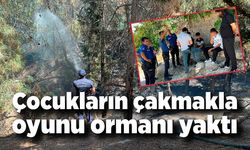 Çocukların çakmakla oyunu ormanı yaktı