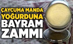 Çaycuma manda yoğurduna bayram zammı