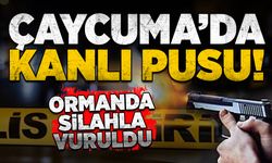 Çaycuma’da kanlı pusu: Ormanda silahla vuruldu