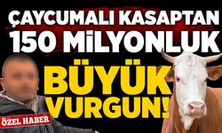 Çaycumalı kasaptan 150 milyonluk büyük vurgun!