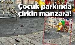 Çocuk parkında çirkin manzara!