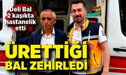Ürettiği balın lezzetine kandı, deli bal hastanelik etti