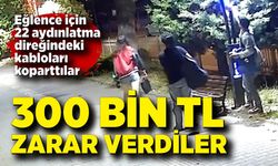 Pes dedirten görüntü: Eğlence için 22 aydınlatma direğine 300 bin TL'lik zarar verdiler