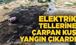 Elektrik tellerine çarpan kuş yangın çıkardı