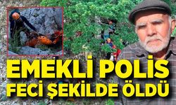 Ihlamur toplarken kayalıklardan düşen emekli polis hayatını kaybetti