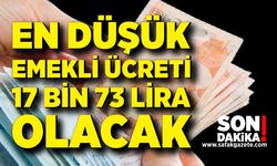 Sosyal Güvenlik Başuzmanı Karakaş: "En düşük emekli ücreti 17 bin 73 lira olacak"