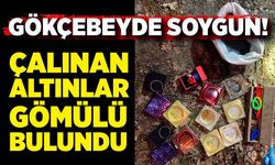 Gökçebey'de soygun! Çalınan altınlar gömülü bulundu