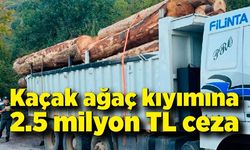 Kaçak ağaç kıyımına 2.5 milyon TL ceza