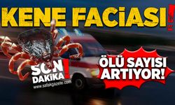 Kene faciası: Ölü sayısı artıyor!