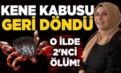 Kene kabusu geri döndü: O ilde 2'nci ölüm!