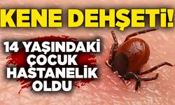 Kene dehşeti: 14 yaşındaki çocuk hastanelik oldu