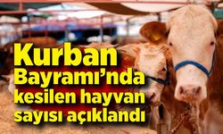 Kurban Bayramı’nda kesilen hayvan sayısı açıklandı