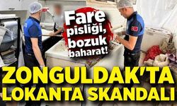 Zonguldak'ta lokanta skandalı: Fare pisliği, bozuk baharat!