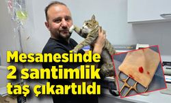 Mesanesinden 2 santimlik taş çıkartıldı