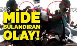 Mide bulandıran plan: Güvenlik kamerası gerçeği ifşa etti
