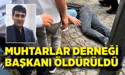 Muhtarlar derneği başkanı silahlı saldırıda hayatını kaybetti