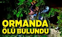 Kayıp vatandaş ormanda ölü bulundu