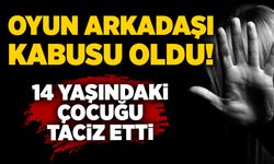 Oyun arkadaşı kabusu oldu: 14 yaşındaki çocuğu taciz etti