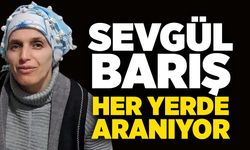 Sevgül Barış her yerde aranıyor