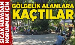 Sıcak havadan korunmak için gölgelik alanlara kaçtılar