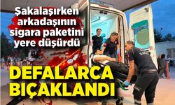 Şakalaşırken sigara paketini düşüren arkadaşını bıçakladı