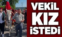 Vekil kız istemeye gitti