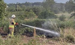 Yol kenarına atılan izmarit, otları yaktı