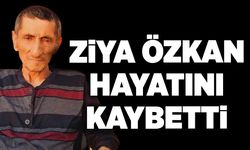 Ziya Özkan hayatını kaybetti