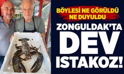 Böylesi ne görüldü ne duyuldu: Zonguldak’ta dev ıstakoz!