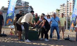 Uydu cihazı takılan kaplumbağa 'Soli' denize bırakıldı