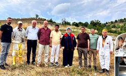 Yığılca arısı için suni tohumlama