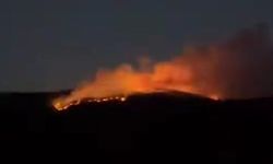 Çankırı'da orman yangını